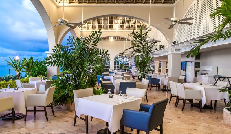 Palm Terrace 1